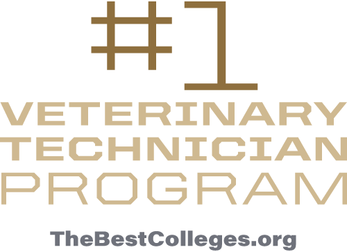 #1 vet tech program