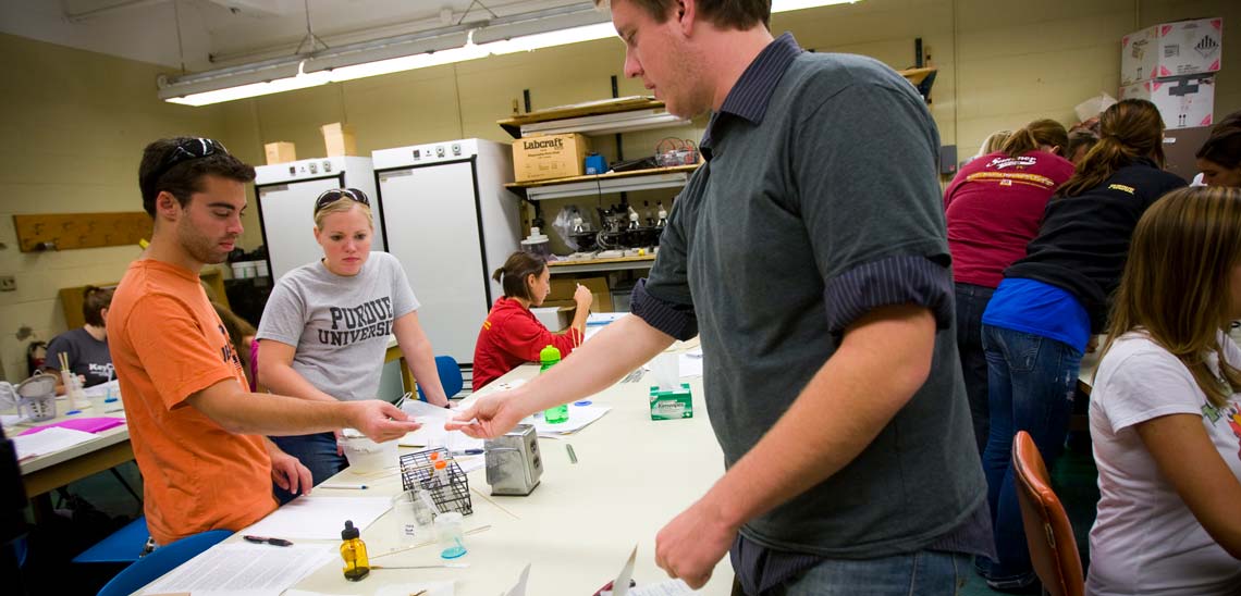 students performing lab work