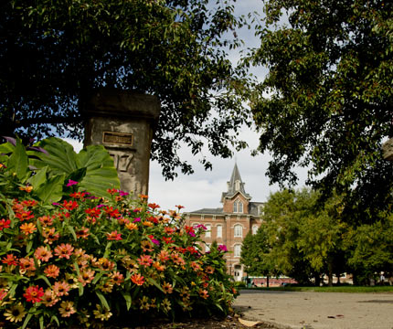 flowers on Memorial Mall